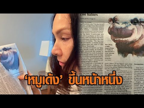 ‘นุสบา’ แซว ‘น้องหมูเด้ง’ ขึ้นหน้าหนึ่งหนังสือพิมพ์อเมริกา แซงหน้า ‘ทรัมป์-แฮร์ริส’ ‘นุสบา’ แซว ‘น้องหมูเด้ง’ ขึ้นหน้าหนึ่งหนังสือพิมพ์อเมริกา แซงหน้า ‘ทรัมป์-แฮร์ริส’