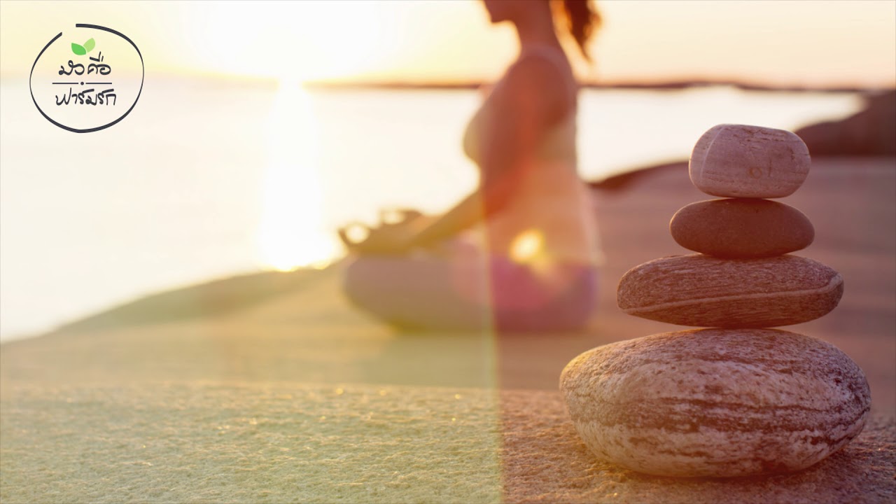 ดนตรีบำบัดความเครียด เพลงบรรเลงเพื่อการฝึกสมาธิ ดนตรีบำบัดความเครียด เพลงบรรเลงเพื่อการฝึกสมาธิ