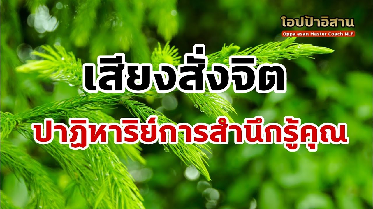 เสียงสั่งจิต ปาฏิหาริย์การสำนึกรู้คุณ | #โปรแกรมจิต #เสียงสั่งจิต #affirmations เสียงสั่งจิต ปาฏิหาริย์การสำนึกรู้คุณ | #โปรแกรมจิต #เสียงสั่งจิต #affirmations