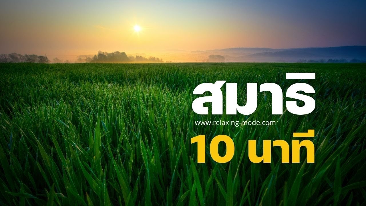 ดนตรีสมาธิ 10 นาที ฝึกเป็นประจำทุกวัน ความสุขเกิดขึ้นได้ด้วยตัวเอง ดนตรีสมาธิ 10 นาที ฝึกเป็นประจำทุกวัน ความสุขเกิดขึ้นได้ด้วยตัวเอง