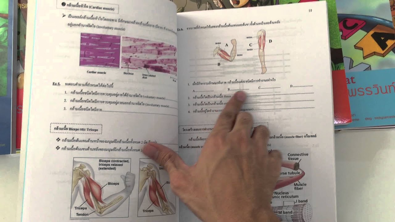 รีวิวหนังสือเรียนชีววิทยา Bio by Oat รีวิวหนังสือเรียนชีววิทยา Bio by Oat