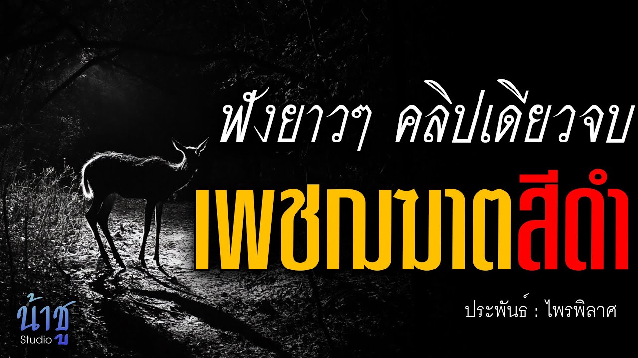 เพชฌฆาตสีดำ! ฟังยาวๆ คลิปเดียวจบ | นิยายเสียง🎙️น้าชู เพชฌฆาตสีดำ! ฟังยาวๆ คลิปเดียวจบ | นิยายเสียง🎙️น้าชู