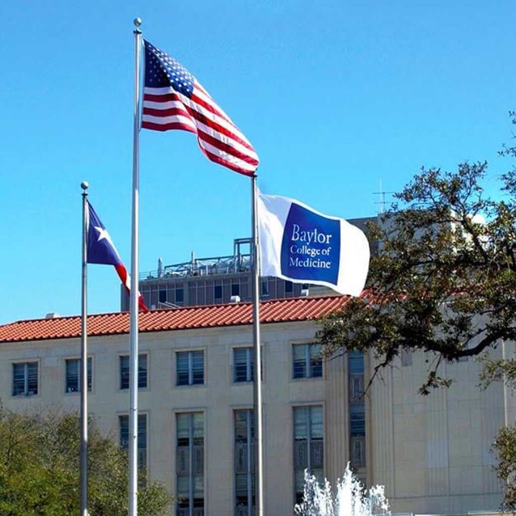 Oracle and Baylor College Partner to Address Alcohol-related Liver Di Oracle and Baylor College Partner to Address Alcohol-related Liver Di