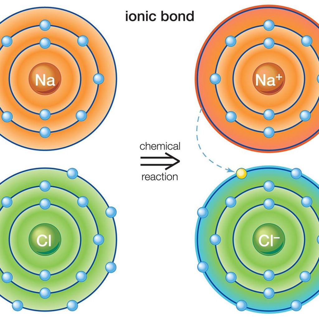 Ionic Digital Reports Strong 2024: Holds 2,393 Bitcoins, 8M Revenue Ionic Digital Reports Strong 2024: Holds 2,393 Bitcoins, 8M Revenue