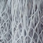 Grapes of Three-D revealed: shaping the way forward for bone regeneration and tissues Grapes of Three-D revealed: shaping the way forward for bone regeneration and tissues