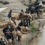 How massive migrating animal puppets captivate in ways in which local weather information can’t How massive migrating animal puppets captivate in ways in which local weather information can’t