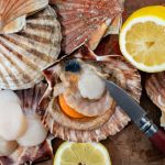 Taurine may energy your power drink – and perhaps most cancers cells too. Right here’s what you want to grasp Taurine may energy your power drink – and perhaps most cancers cells too. Right here’s what you want to grasp