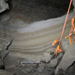 Our DNA research of 75,000-year-old bones in Arctic caves finds how animals answered to converting climates Our DNA research of 75,000-year-old bones in Arctic caves finds how animals answered to converting climates