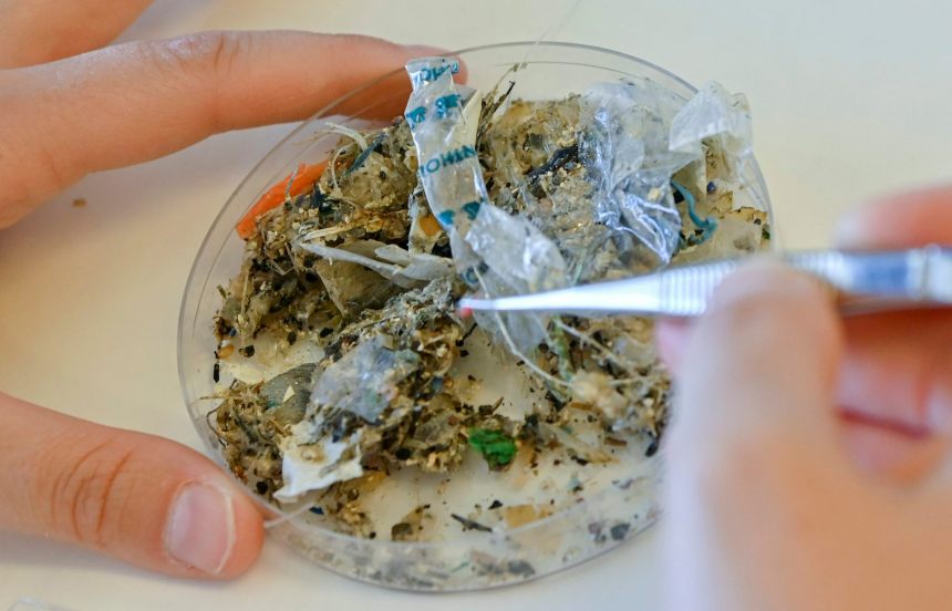 Fixing the arena’s microplastics drawback: 4 answers towns and states try after world treaty talks collapsed Fixing the arena’s microplastics drawback: 4 answers towns and states try after world treaty talks collapsed