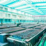 What’s going to Trump’s care for Xi imply for the USA financial system and family members with China? Professional Q&A What’s going to Trump’s care for Xi imply for the USA financial system and family members with China? Professional Q&A