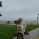 Typhoon Melissa: Govt pronounces Jamaica a crisis space Typhoon Melissa: Govt pronounces Jamaica a crisis space