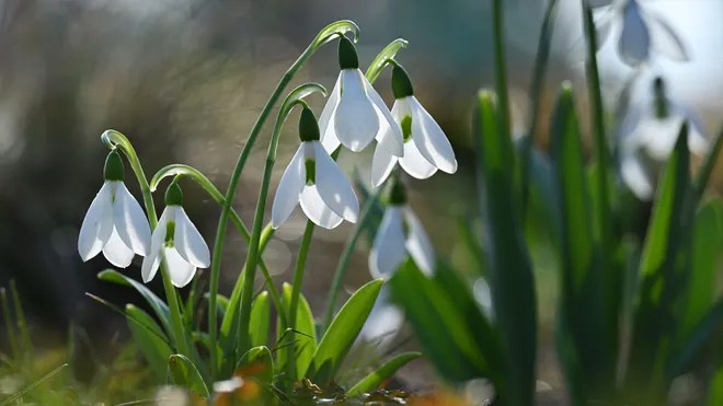 As much as 18 levels: Solar and vivid blue sky in Tering As much as 18 levels: Solar and vivid blue sky in Tering