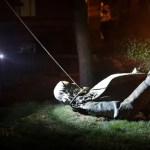 Southern Normal: Trump Govt represents a arguable statue Southern Normal: Trump Govt represents a arguable statue