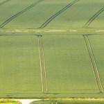 Harvest time: Excellent harvest regardless of the trapped time with grain and oil Harvest time: Excellent harvest regardless of the trapped time with grain and oil