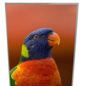 Image 1 Image 1
