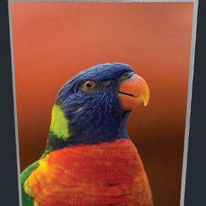 Image 1 Image 1