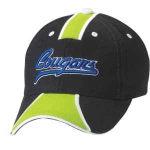 Image 1 Image 1
