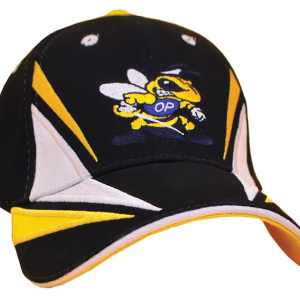 Image 1 Image 1