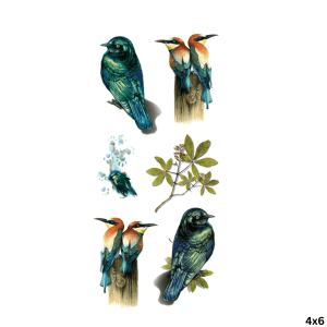 Image 1 Image 1