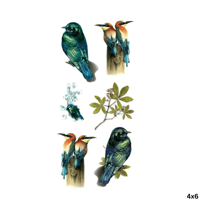 Image 1 Image 1