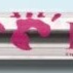 R.S.V.P. Capped Ballpoint Pen - Pink Trim/Black Ink 1 R.S.V.P. Capped Ballpoint Pen - Pink Trim/Black Ink 1