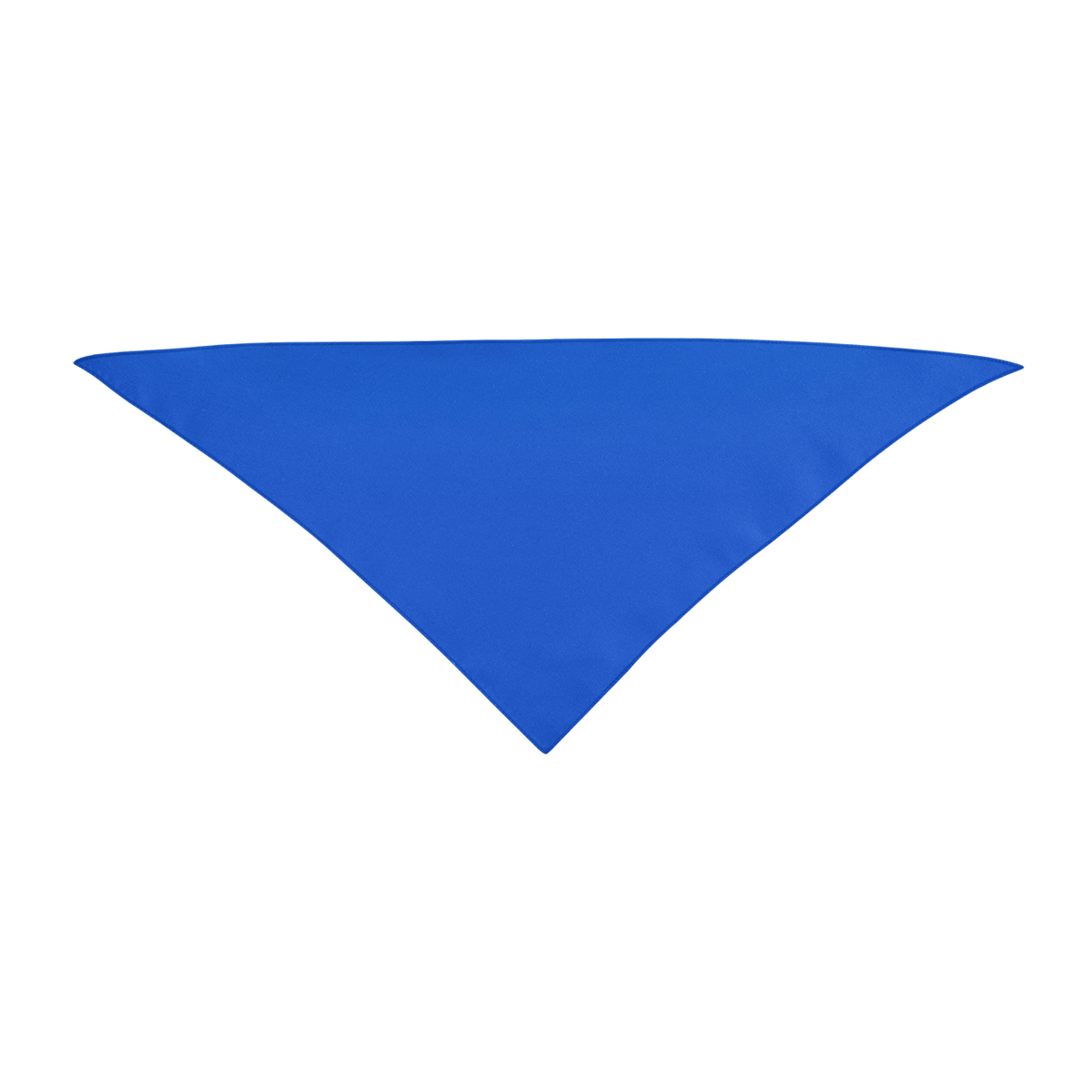Small Triangle Rpet Pet Bandana 1