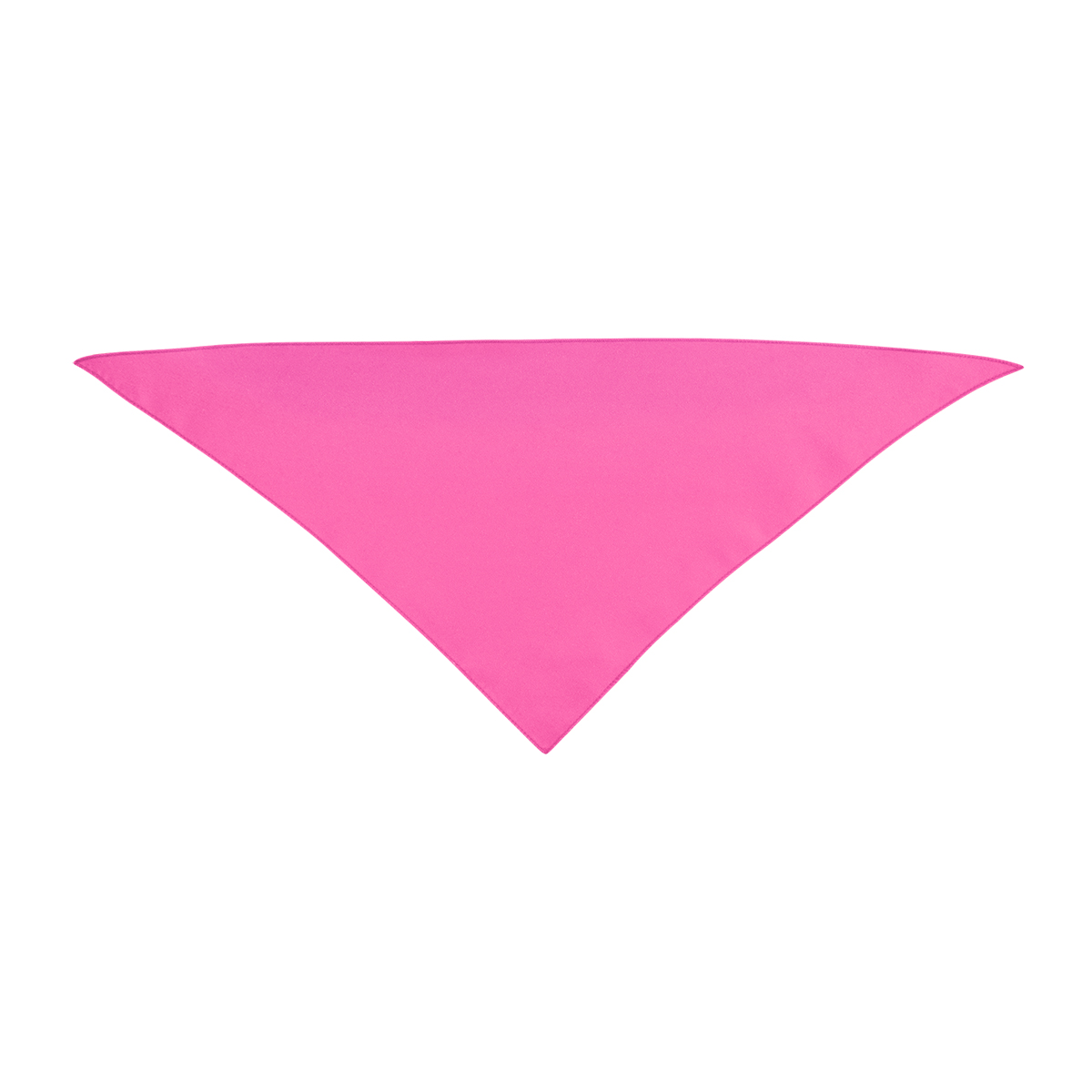 Small Triangle Rpet Pet Bandana 1