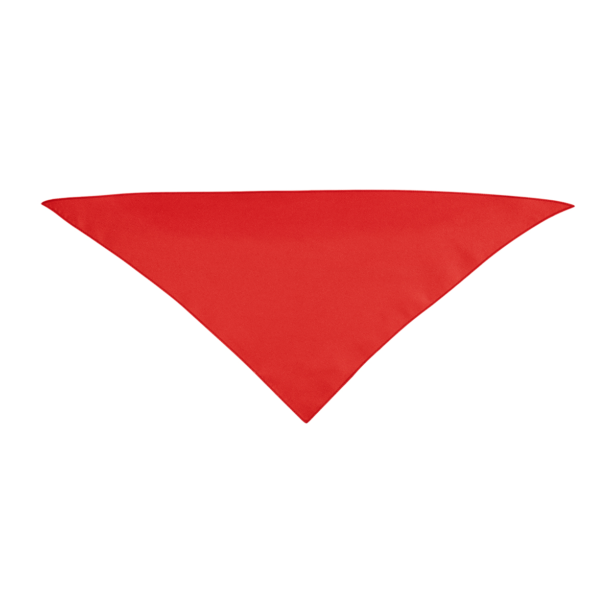 Small Triangle Rpet Pet Bandana 1