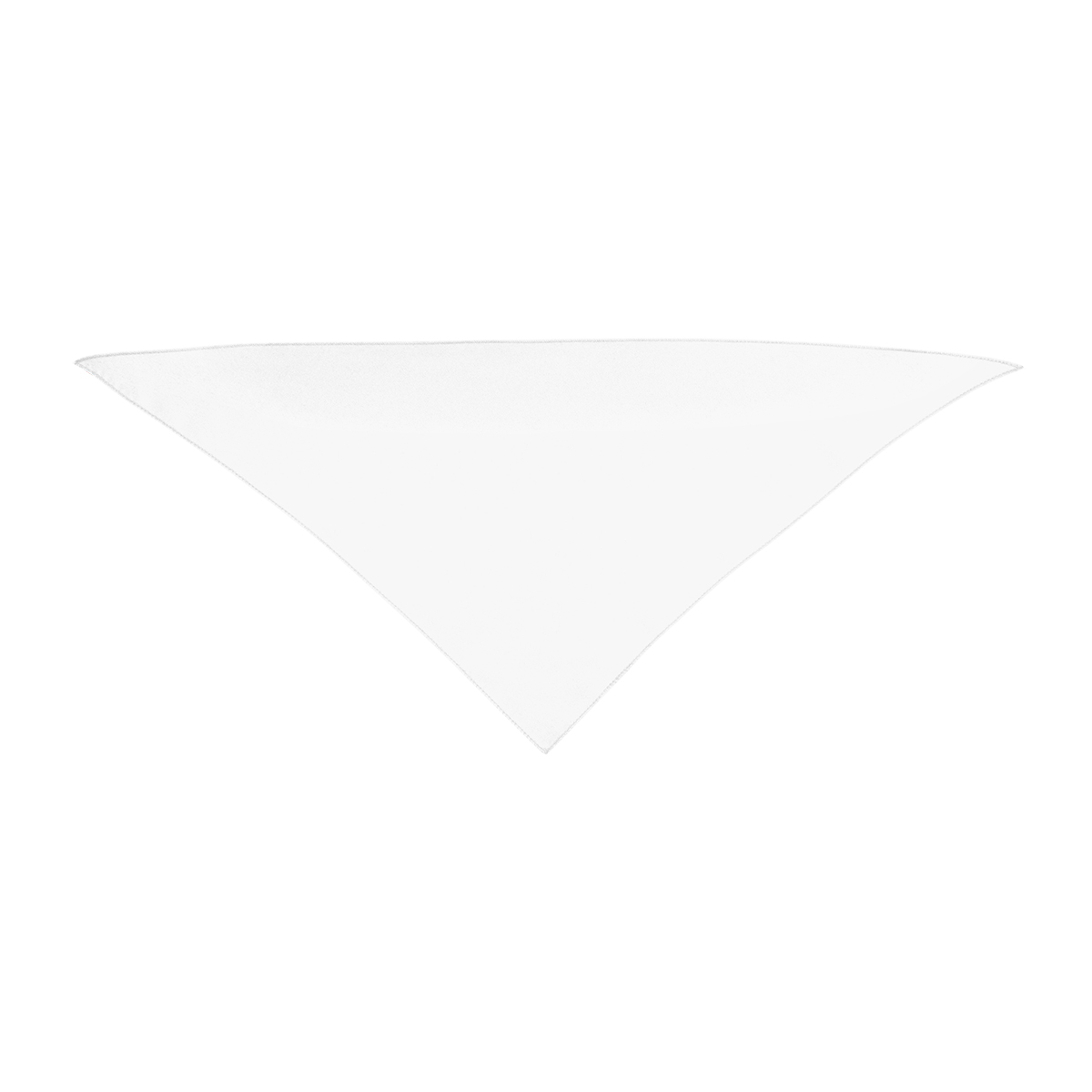 Small Triangle Rpet Pet Bandana 1