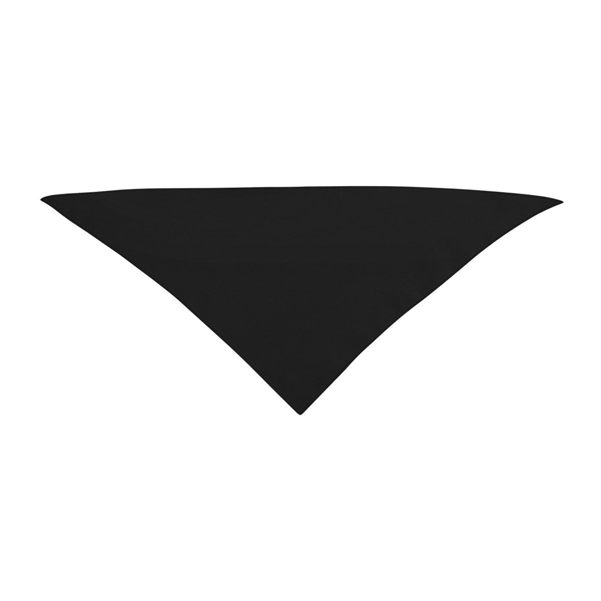 Small Triangle Rpet Pet Bandana 1