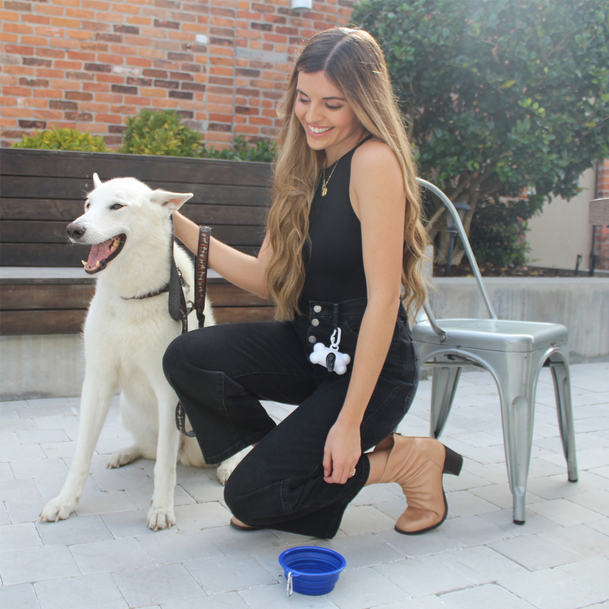 Collapsible Pet Bowl 1