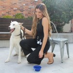 Collapsible Pet Bowl - 2412 ROY Lifestyle Silkscreen Collapsible Pet Bowl - 2412 ROY Lifestyle Silkscreen