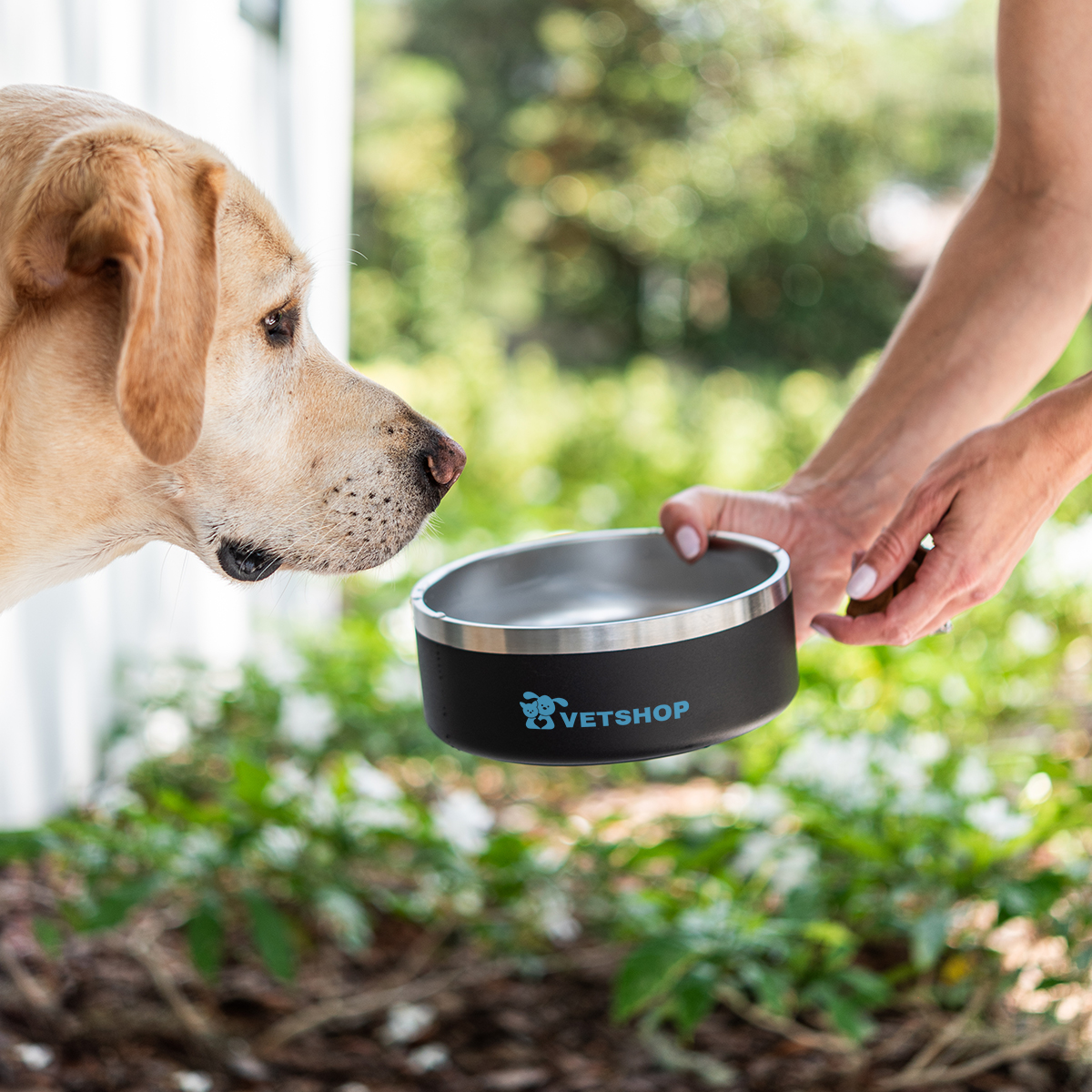 40 Oz. Stainless Steel Pet Bowl 1