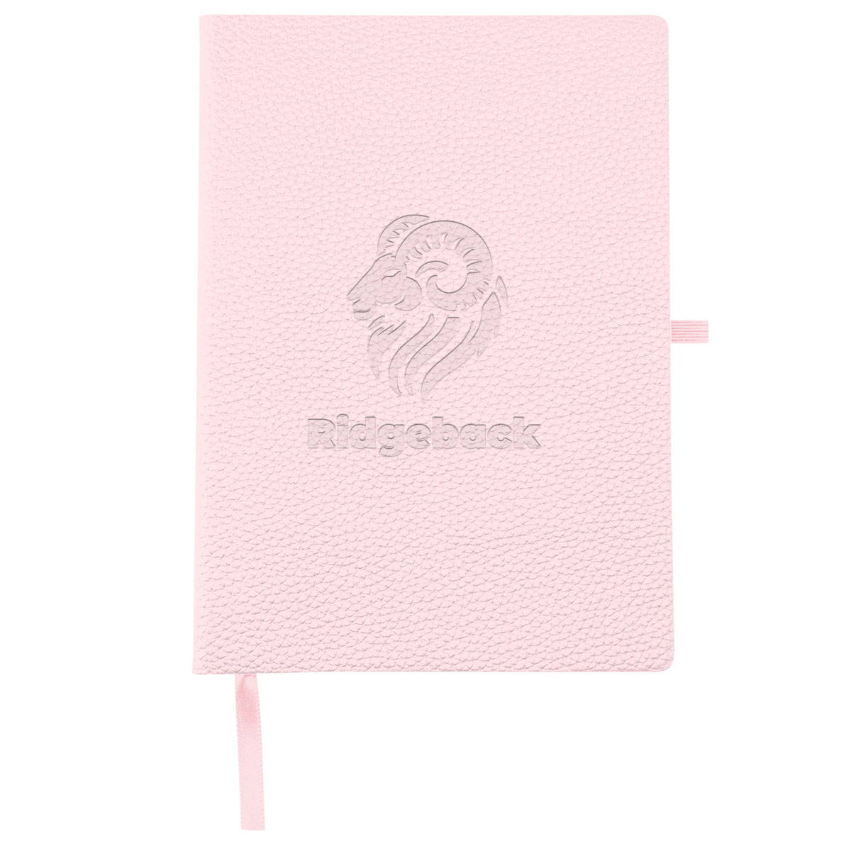 Prose Journal 1