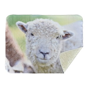 30" X 40" Faux Mink Suede Blanket 1 30" X 40" Faux Mink Suede Blanket 1