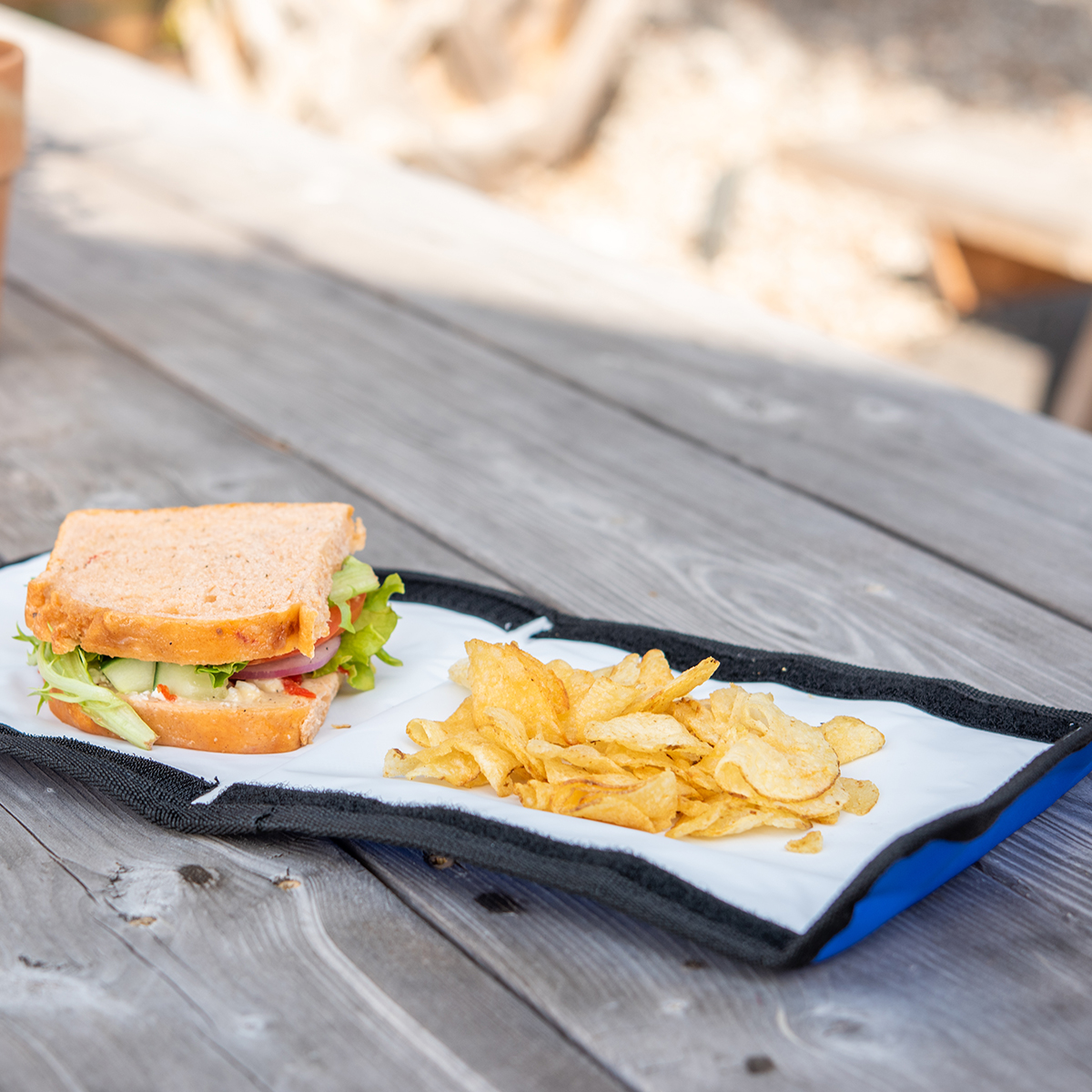 Pack & Snack Storage Bag Food Mat 1