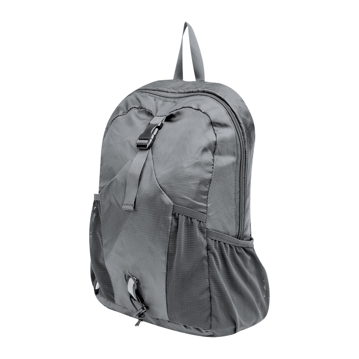 Alpine Rpet Backpack 1