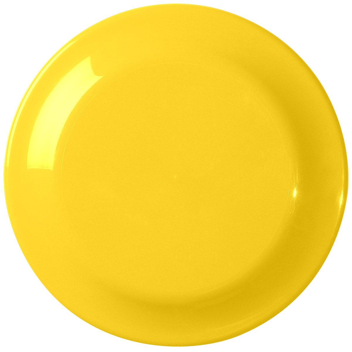 Large Discus 1
