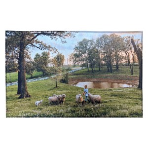20" X 31" Indoor Rug 1 20" X 31" Indoor Rug 1