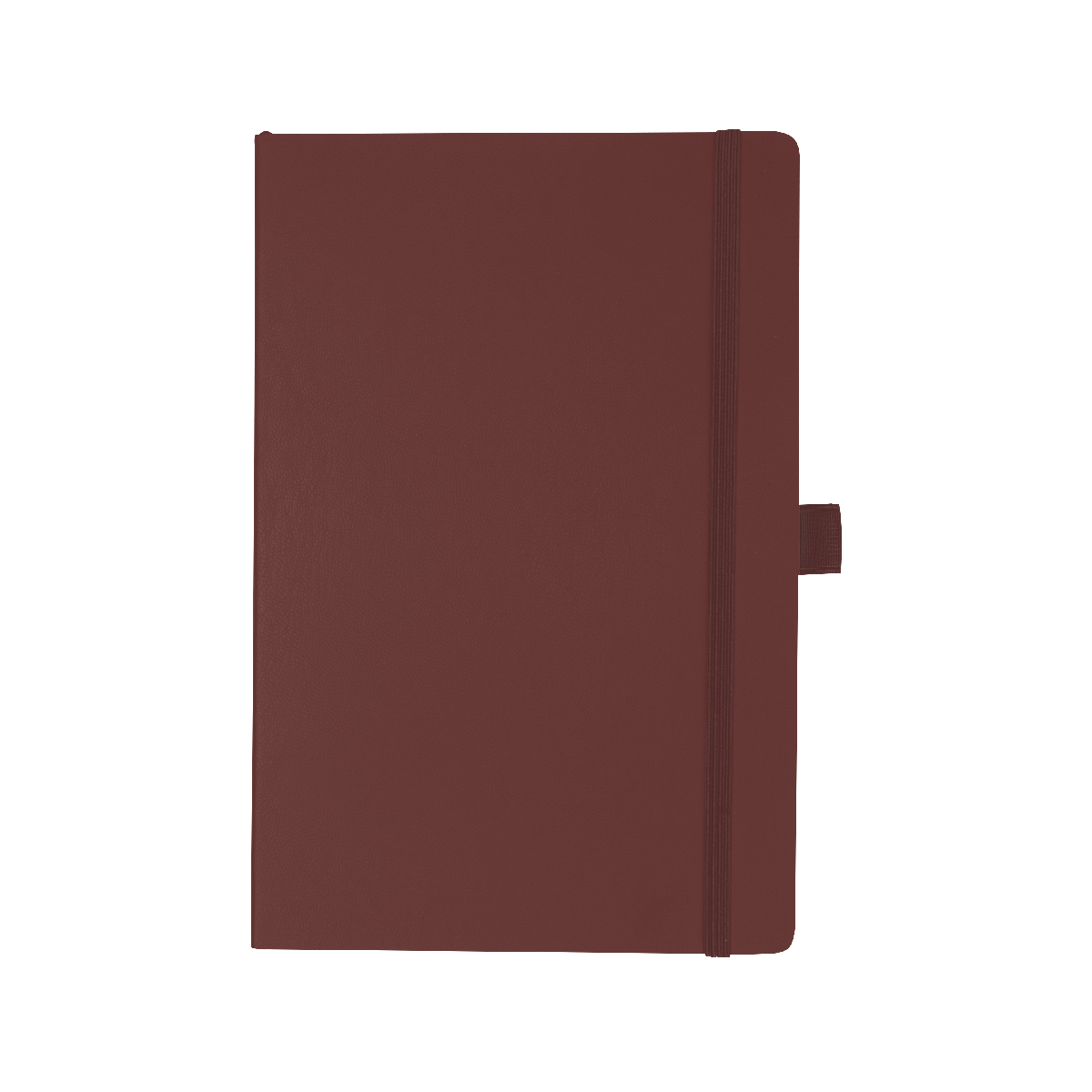 Apple Skin Journal 1