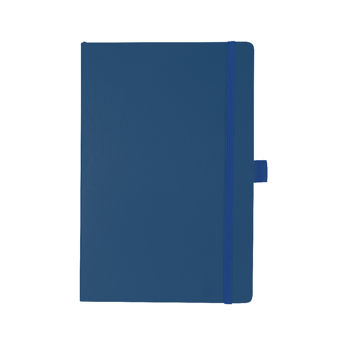 Apple Skin Journal 1
