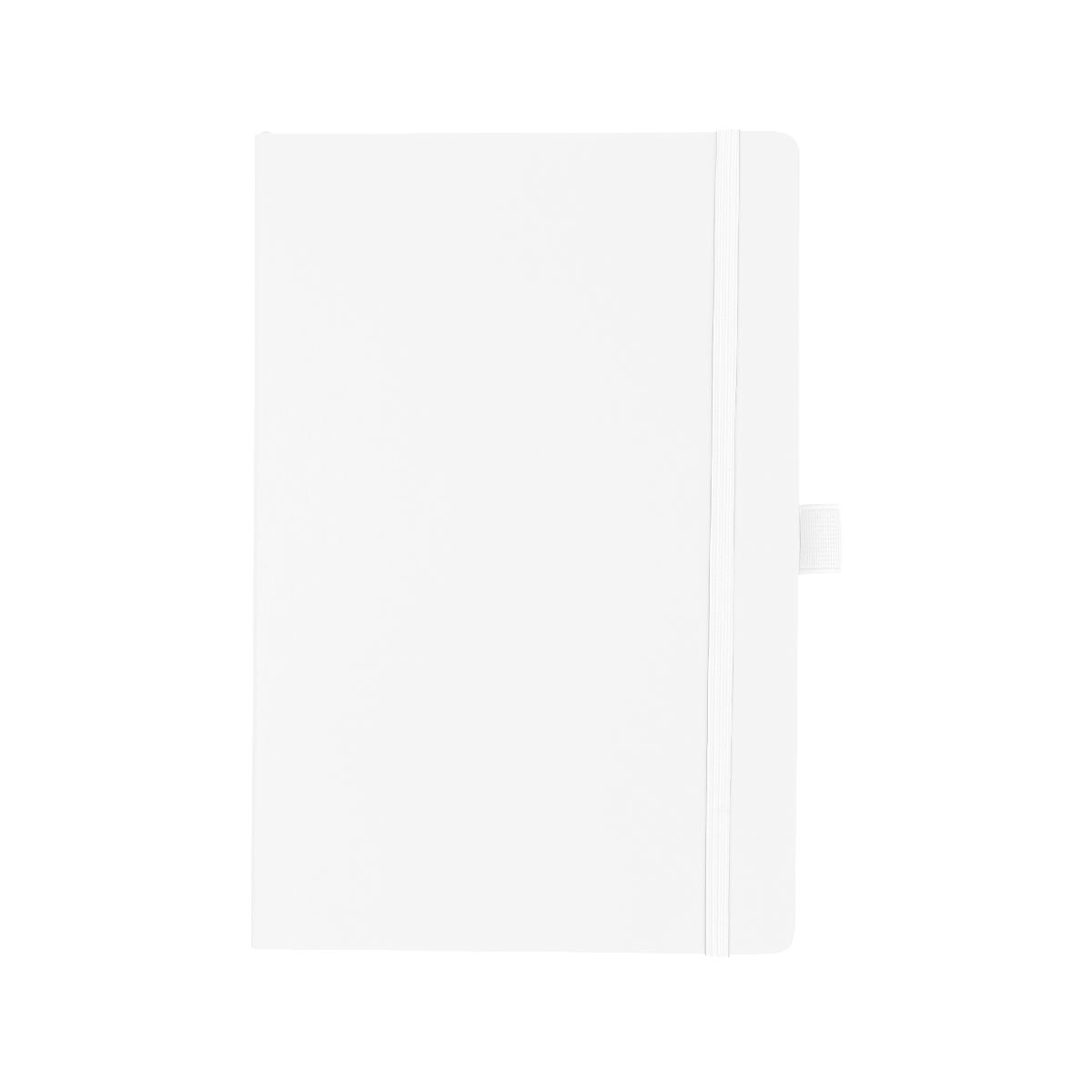 Apple Skin Journal 1