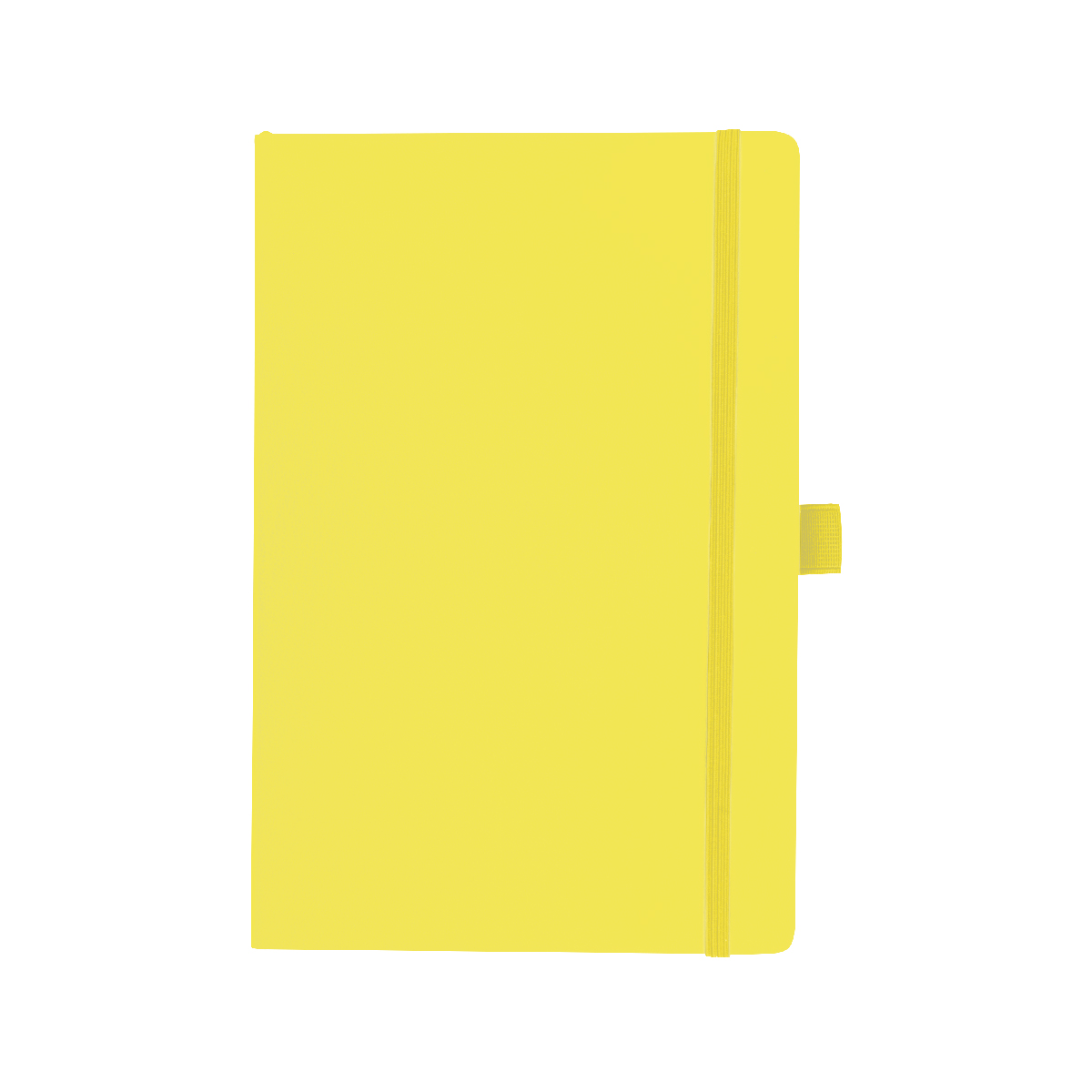 Apple Skin Journal 1