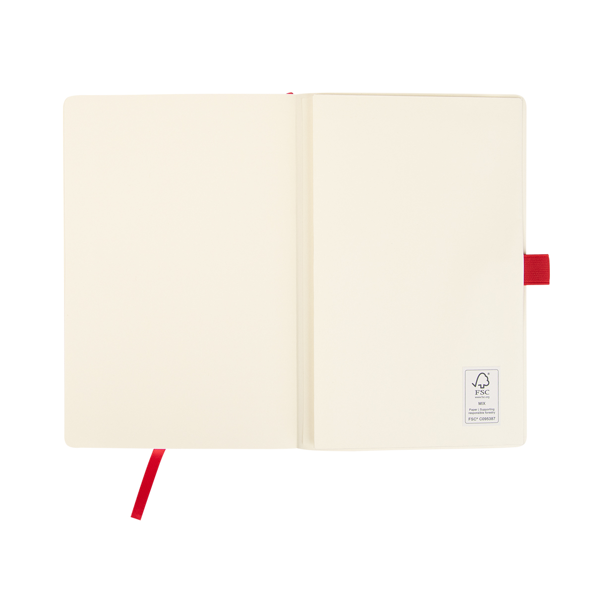 Apple Skin Journal 1