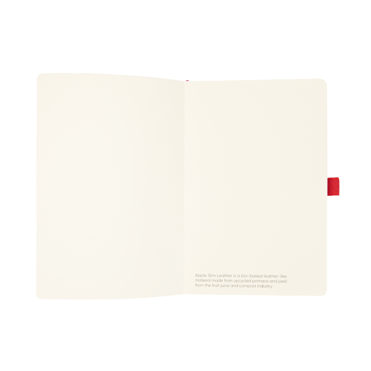 Apple Skin Journal 1