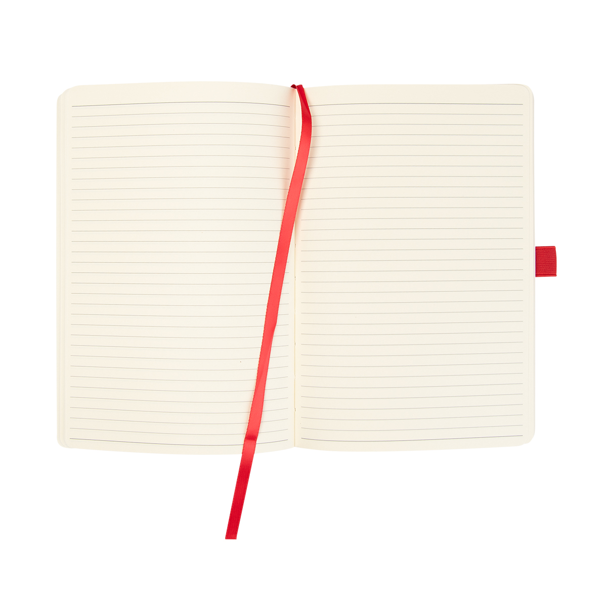 Apple Skin Journal 1