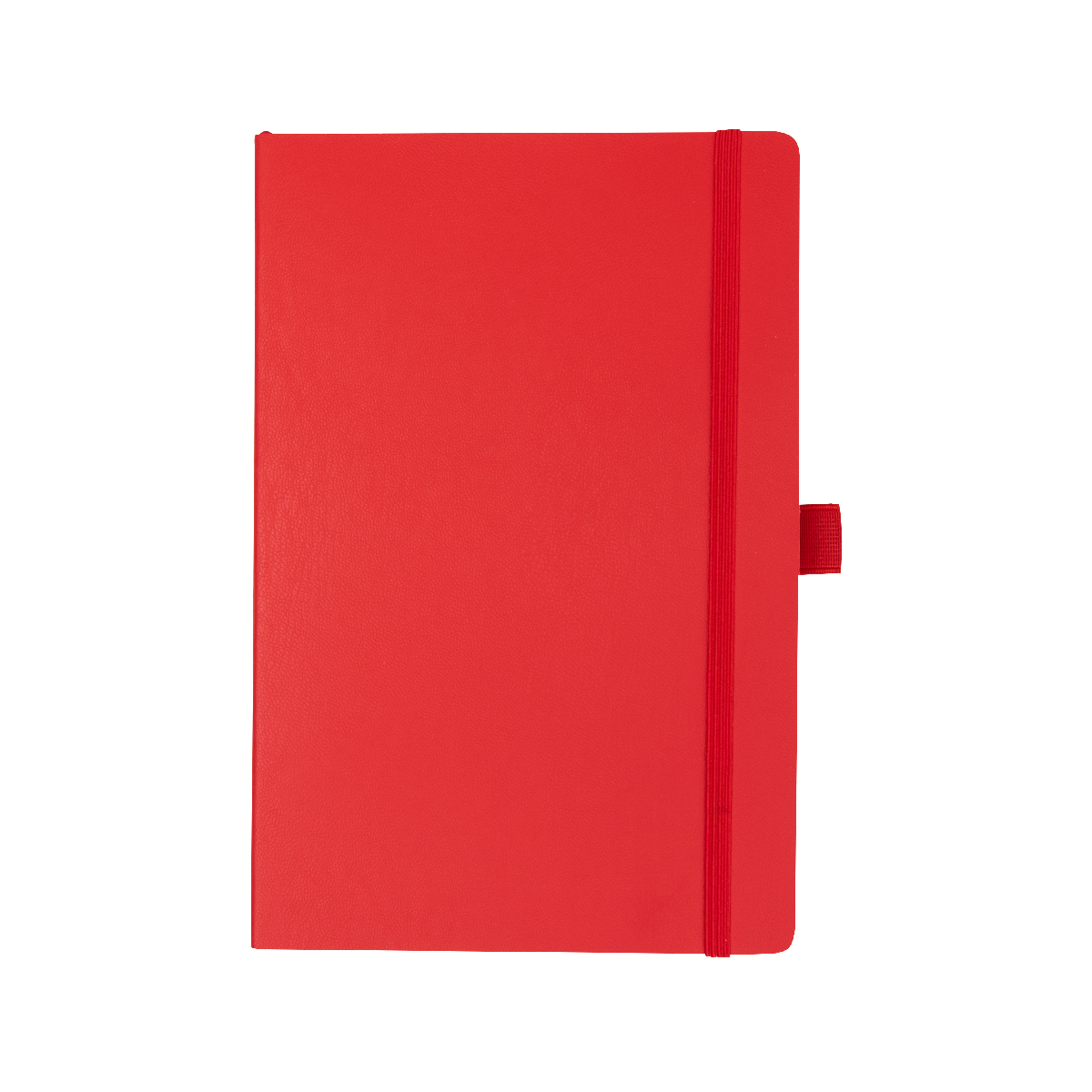 Apple Skin Journal 1