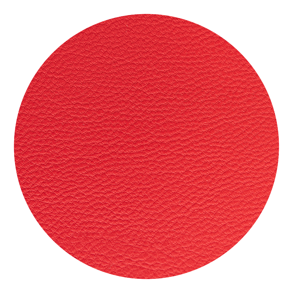 Apple Skin Journal 1