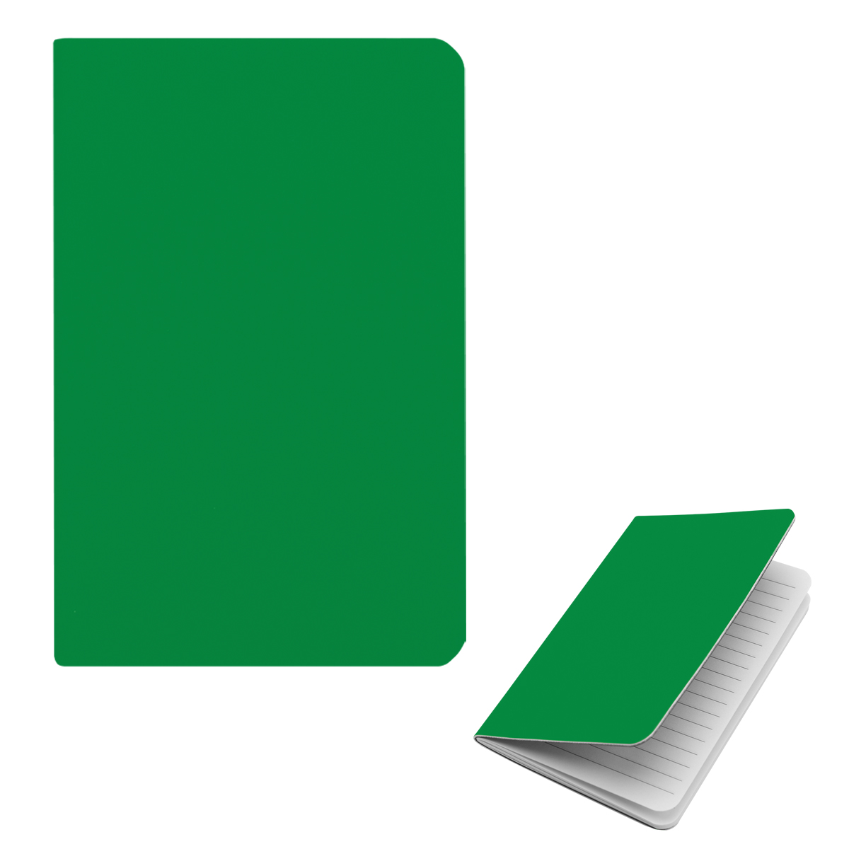 Field Rpet Journal 1