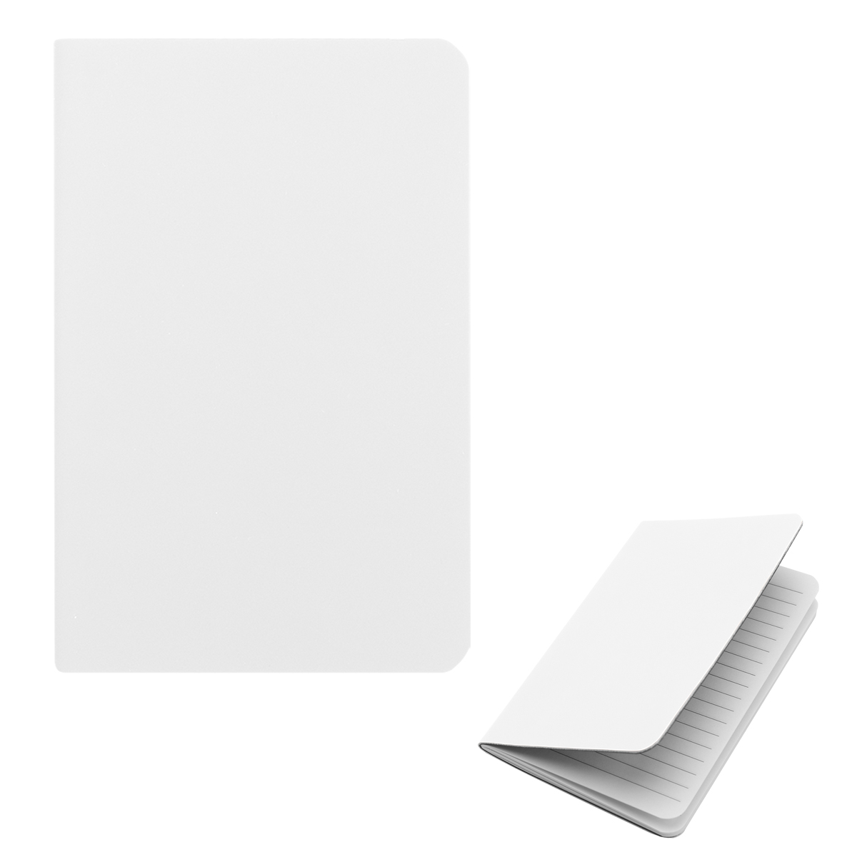 Field Rpet Journal 1